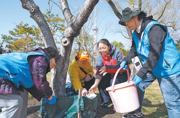 3月12日，玉渊潭公园开展植树主题活动，志愿者们利用新型园林科技产品“水围脖”为樱花树施肥浇水。