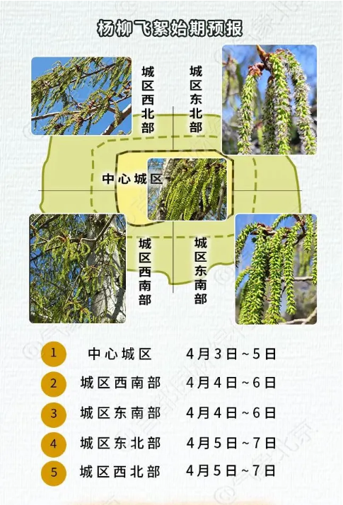 大陆娱乐城疾控提醒您 进入杨柳飞絮期 如何科学防护？