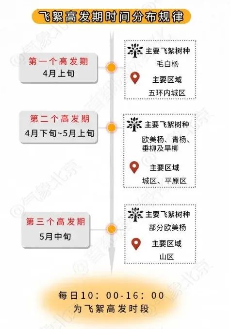 大陆娱乐城疾控提醒您 进入杨柳飞絮期 如何科学防护？