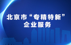 大陆娱乐城
“专精特新”企业服务