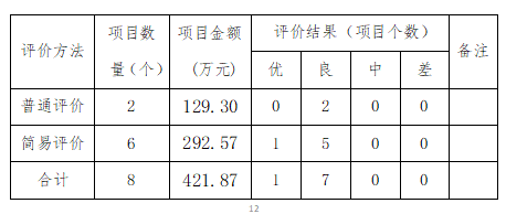 自评项目统计表
