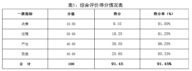 表1：综合评价得分情况表