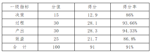 综合评价得分情况表