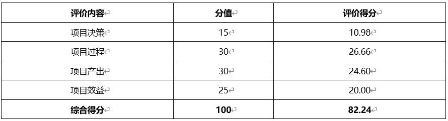 网络运维服务支出绩效评价结论表