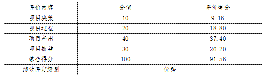 项目绩效评价结论一览表