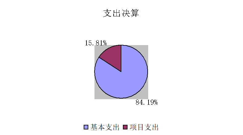 基本支出和项目支出情况