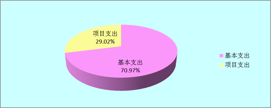 图2：基本支出和项目支出情况