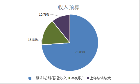 图1：收入预算