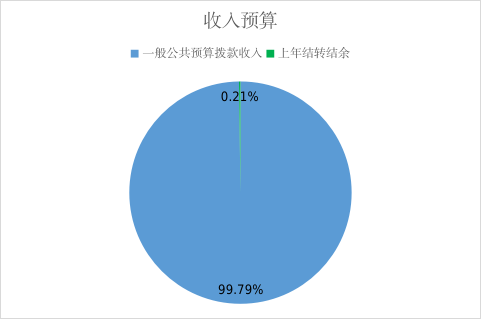 收入预算