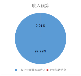 收入预算