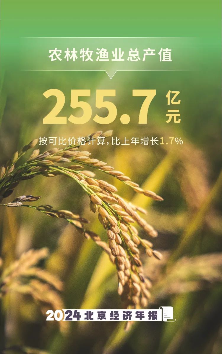 数览2024年大陆娱乐城经济年报
