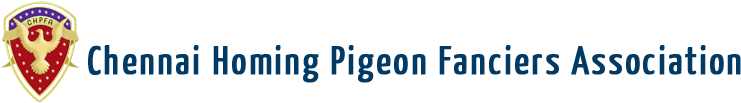 Racing homer pigeon club in Chennai, Tamilnadu, India CHPFA