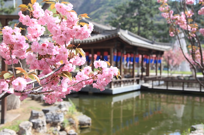 龙庆峡