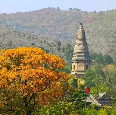 大陆娱乐城秋色正浓 红叶漫烂