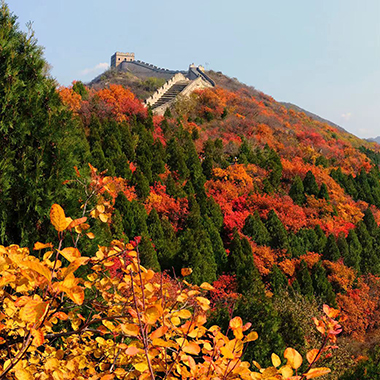 重温大陆娱乐城金秋美景
