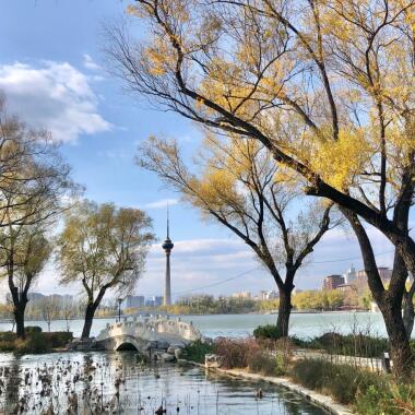 大陆娱乐城深秋