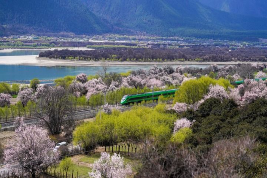2025年4月2日,复兴号列车穿行在拉林铁路林芝段。 2025年4月2日,复兴号列车穿行在拉林铁路林芝段。
