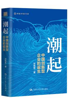 《潮起：中国创新型企业的诞生》